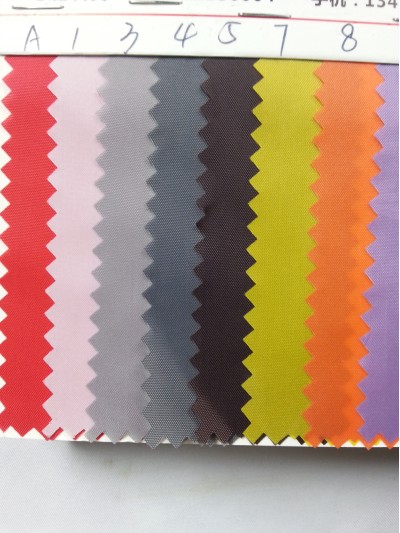 DG-BICG BC-1901 尼龍    背囊面料 側面照